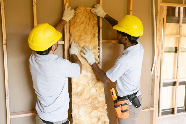 Best Insulation for New Construction  in Nolanville, TX